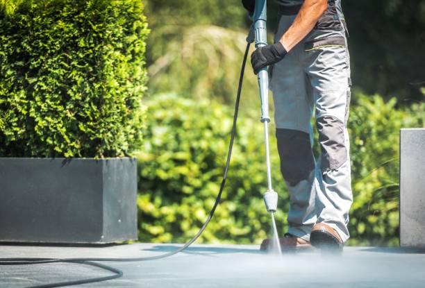 Best Graffiti Removal Services in Thatcher, AZ
